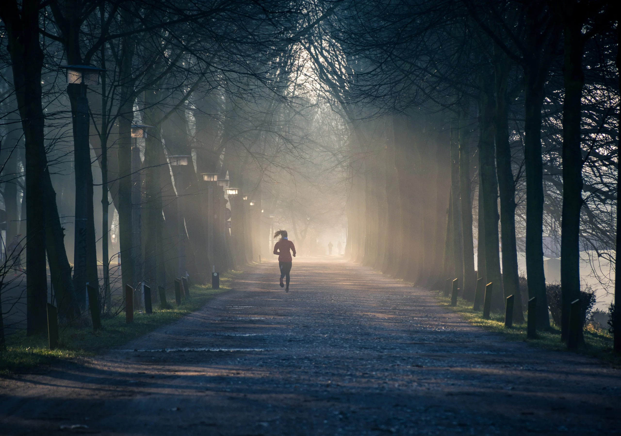 Revitalize Your Mornings: The Transformative Power of Morning Rituals for a Healthy Start