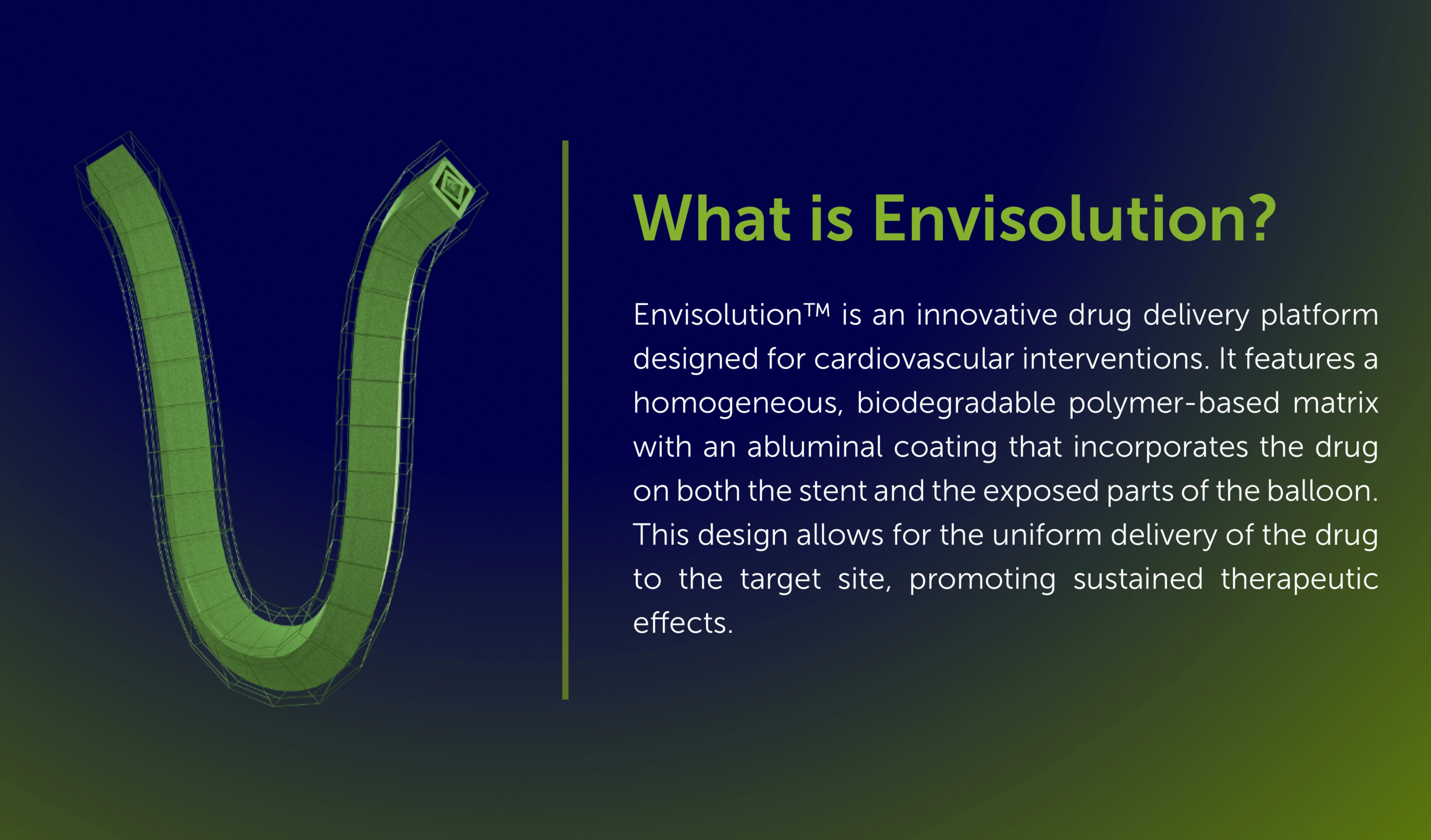 What is Envisoultion Technology - Drug Eluting Stent