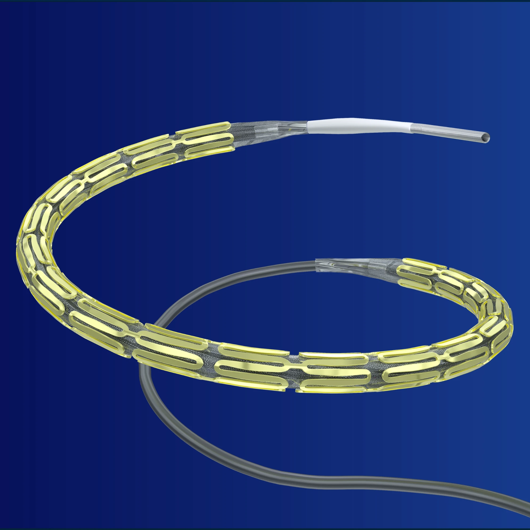 Drug-Eluting Stents (DES) | Sirolimus Stent Technology